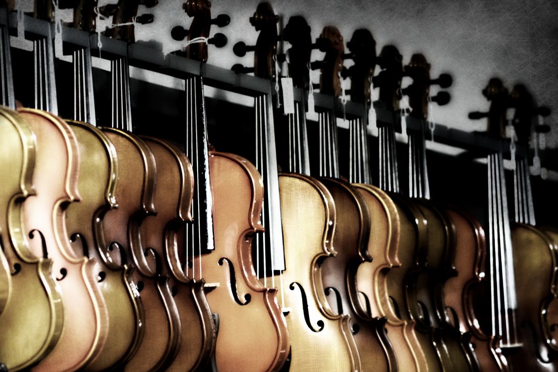 Bass Guitar, Instrumento de Cuerda, Guitarra, Instrumento Musical, Instrumentos de Cuerda Pulsada. Wallpaper in 2560x1707 Resolution