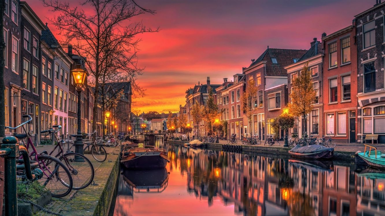 amsterdam, water, bicycle, wheel, building