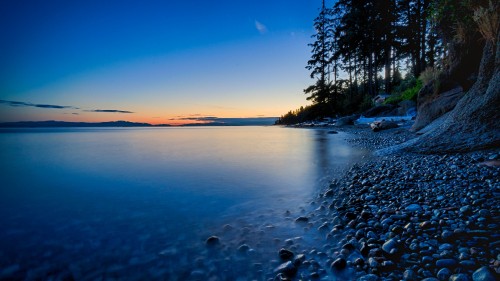 Image body of water near trees during sunset