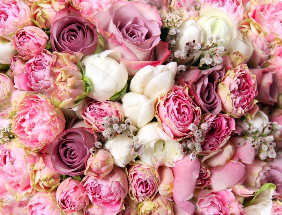 Bouquet de Roses Roses et Blanches. Wallpaper in 5904x4500 Resolution