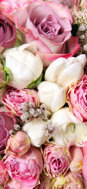 Image pink and white roses bouquet