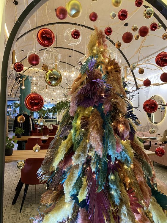 Weihnachtsbaum, Weihnachten, Baum, Wissenschaft, Biologie. Wallpaper in 1536x2048 Resolution