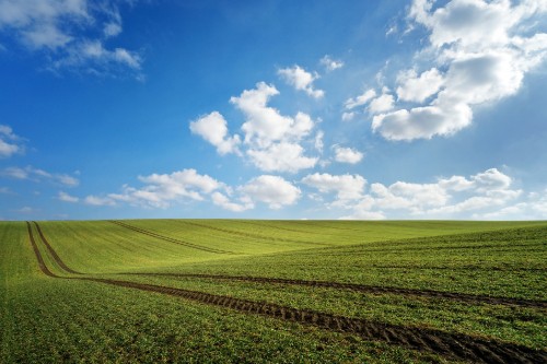 Image green grass field under blue sky during daytime