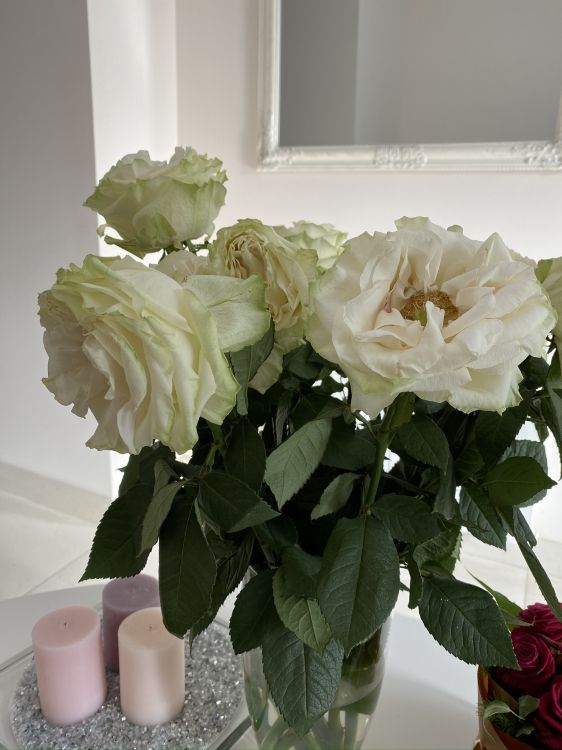 Las Flores Cortadas, Diseño Floral, Las Rosas de Jardín, Pétalo, Ramo. Wallpaper in 1536x2048 Resolution