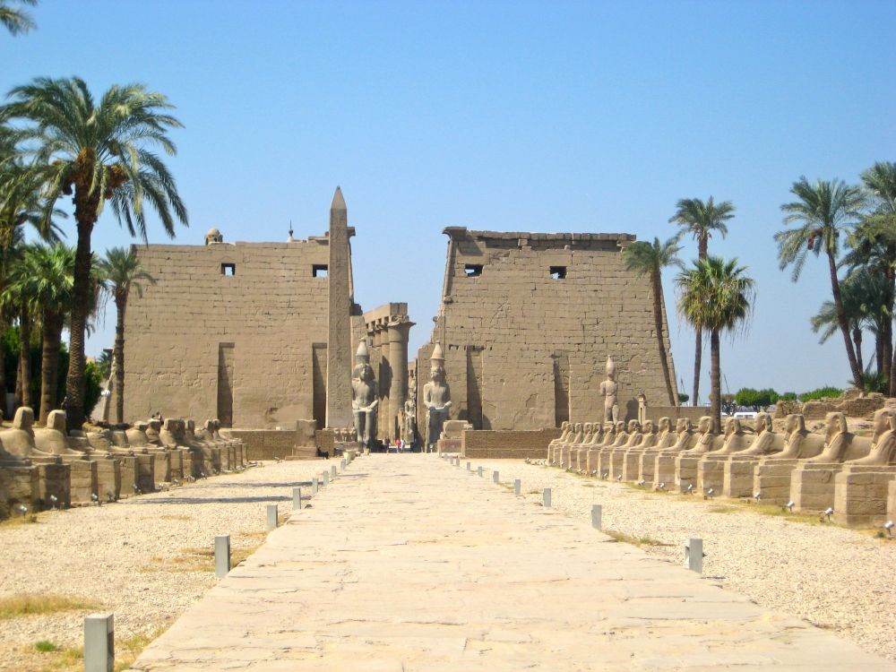 Bâtiment en Béton Brun Près Des Palmiers Pendant la Journée. Wallpaper in 3072x2304 Resolution