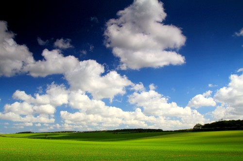 Image green grass field under blue sky and white clouds during daytime