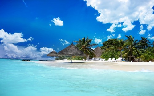 Image brown nipa hut on beach during daytime