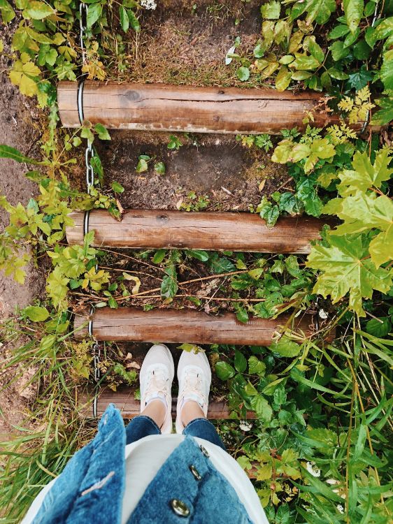 Feuille, Plante, Biologie, Denim, Couvre-sol. Wallpaper in 3024x4032 Resolution