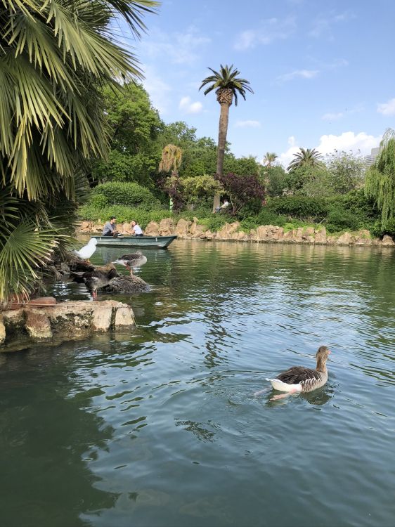 Réflexion, Corps de L'eau, Les Ressources en Eau, Eau, Étang. Wallpaper in 1536x2048 Resolution