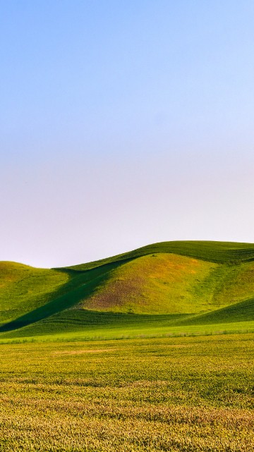 Image green dunes, plant, mountain, natural landscape, slope