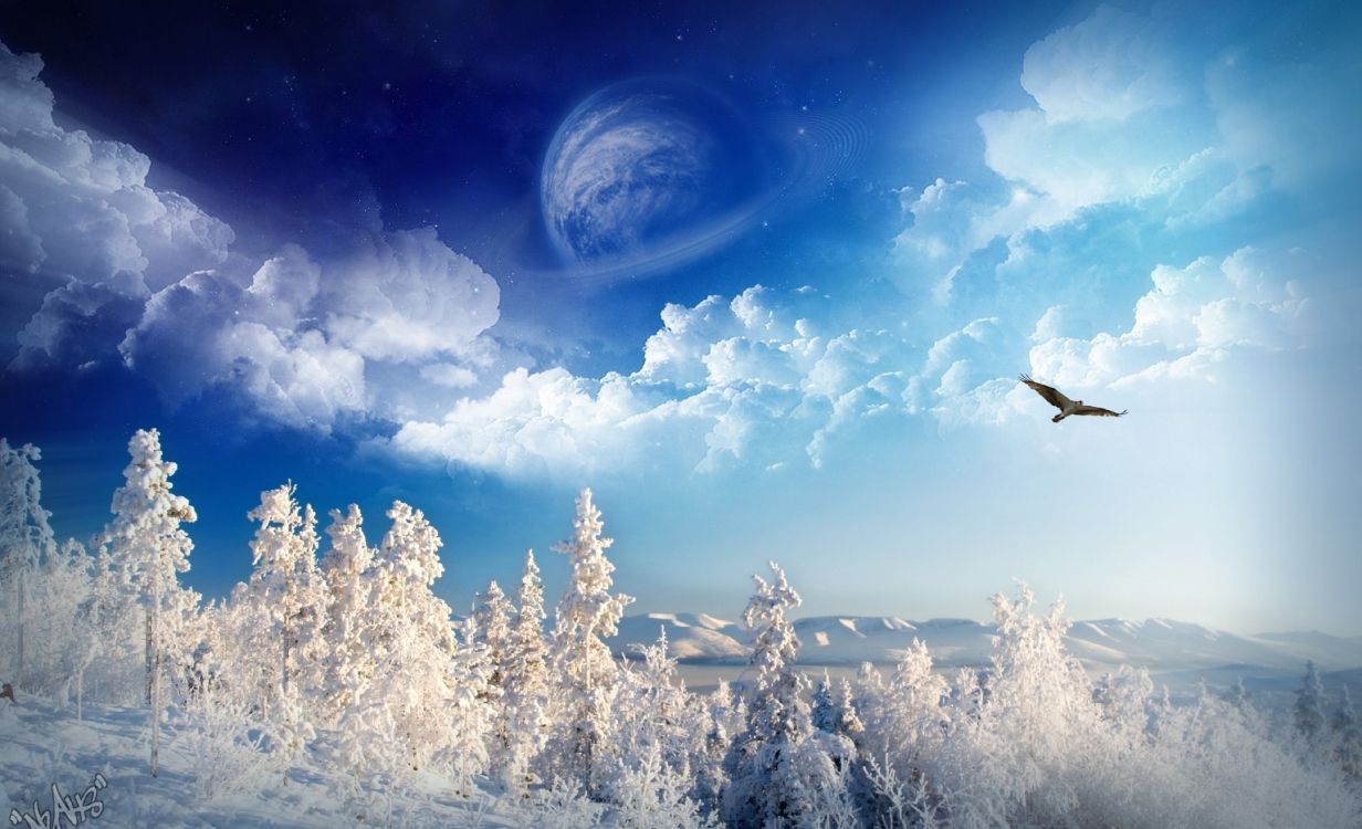 Schneebedeckte Bäume Unter Blauem Himmel Und Weißen Wolken Tagsüber. Wallpaper in 4000x2435 Resolution