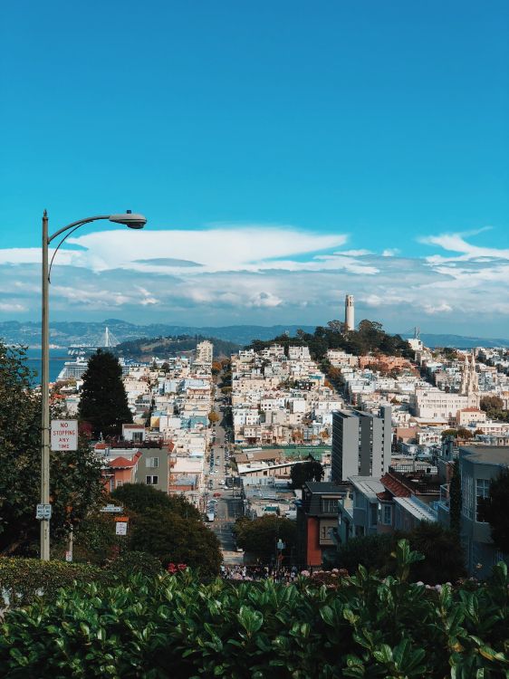 旧金山, 路灯, 街区, 住宅区, 灯光 壁纸 3024x4032 允许