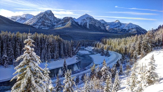 Image green pine trees on snow covered ground near mountain during daytime
