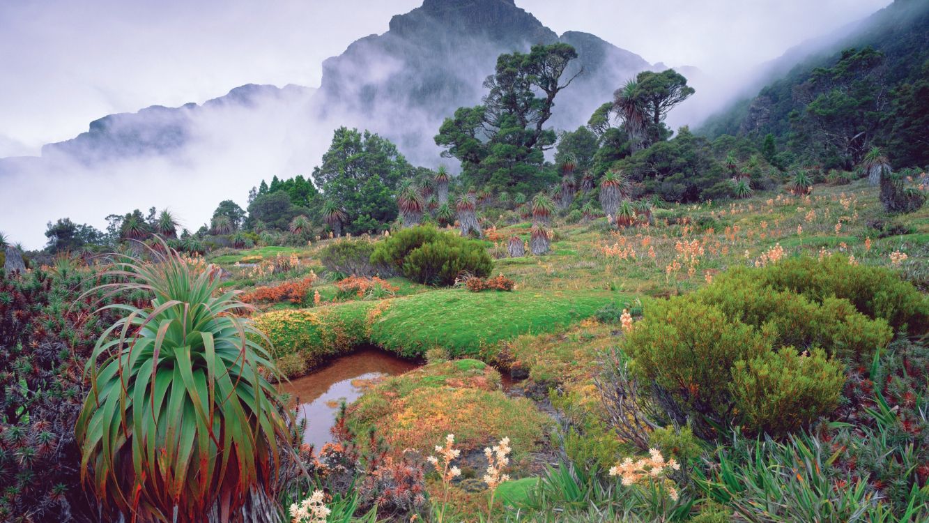 green grass field near mountain during daytime