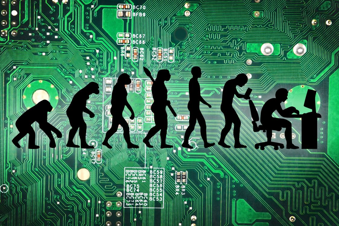 Silhouette de Personnes Marchant Sur un Sol Vert et Noir. Wallpaper in 2560x1707 Resolution