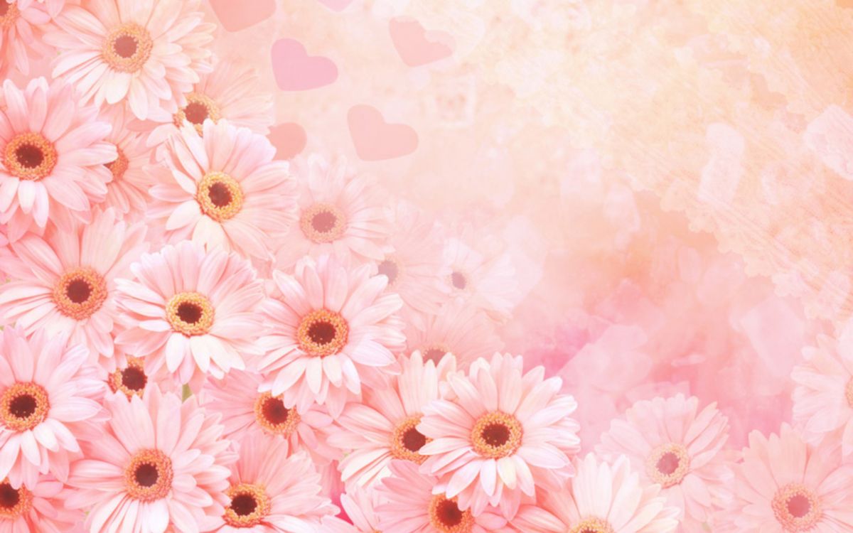 Rosa Und Weißes Florales Textil. Wallpaper in 2560x1600 Resolution