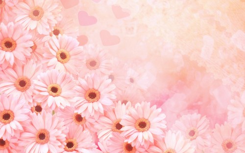 Image pink and white floral textile