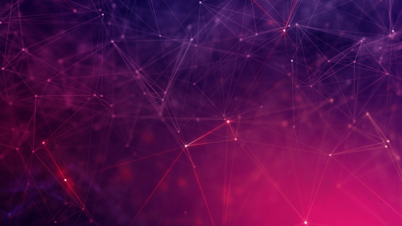 Gotas de Agua Sobre la Telaraña en Fotografía de Cerca. Wallpaper in 2560x1440 Resolution