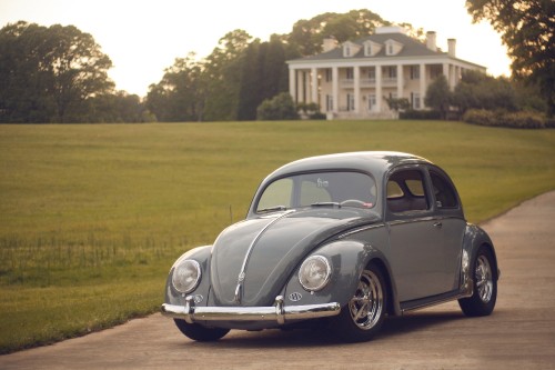 Image black volkswagen beetle on green grass field during daytime