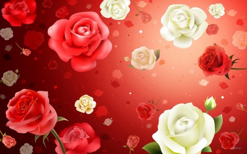 Image white and pink roses on red surface