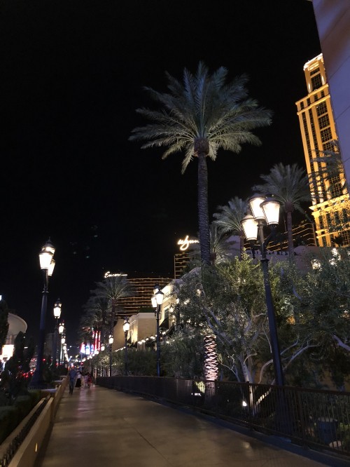 Image las vegas, usa, the palazzo, night, road surface