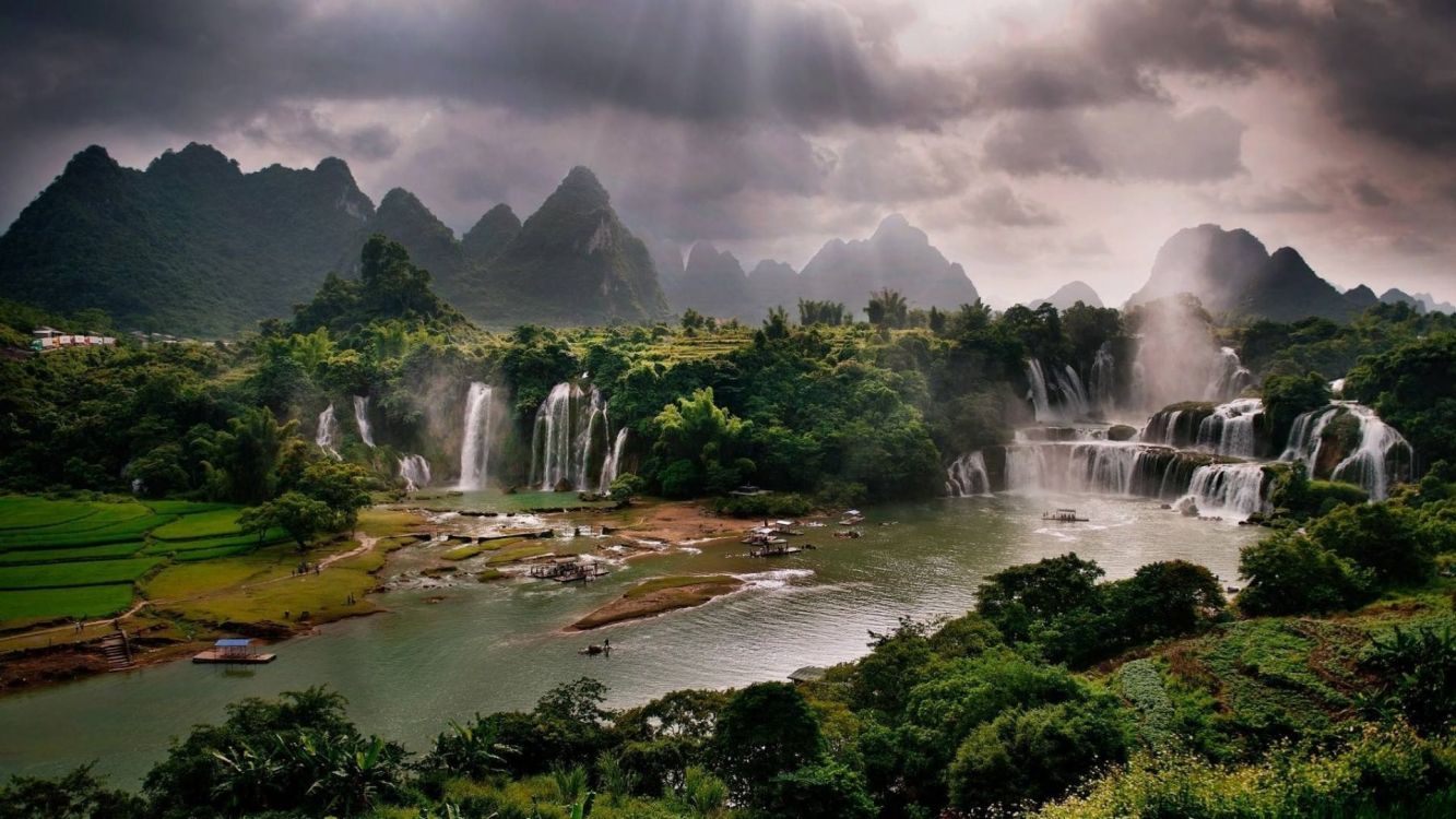 green trees near water falls