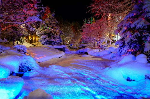 Image person in blue jacket sitting on snow covered ground during daytime