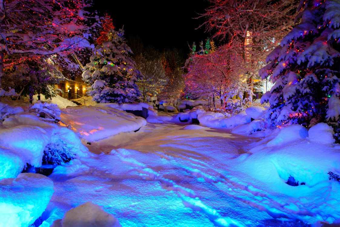 Person in Blue Jacket Sitting on Snow Covered Ground During Daytime. Wallpaper in 5939x3965 Resolution