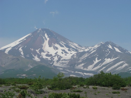 Image green trees and white mountain under blue sky during daytime