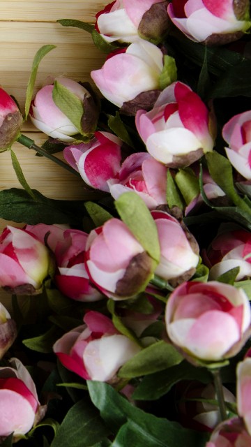 Image peony, flower, heart, petal, pink