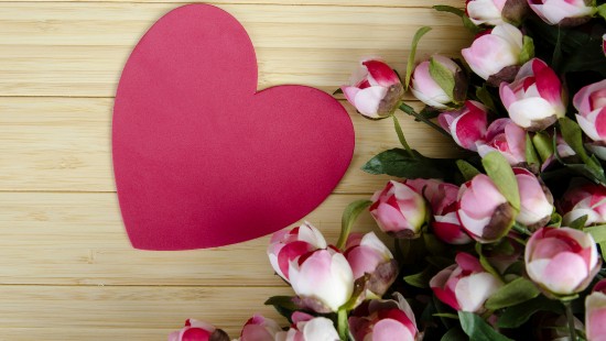 Image peony, flower, heart, petal, pink