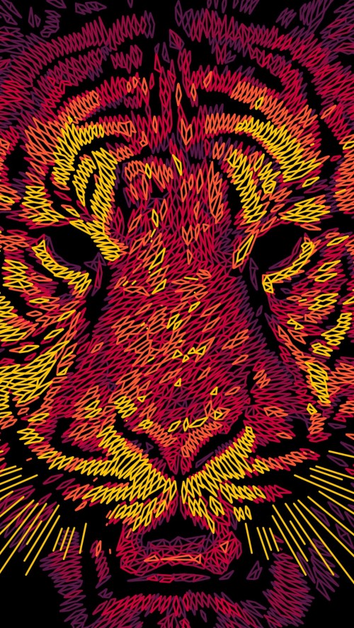 Image tiger, pattern, Carnivore, art, felidae