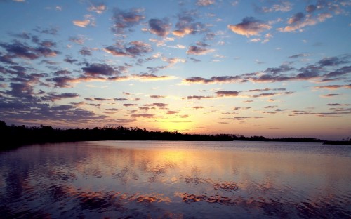 Image body of water under blue sky during daytime