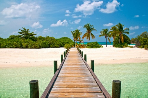 Image brown wooden dock on beach during daytime