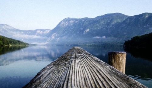 Image brown wooden dock near lake during daytime