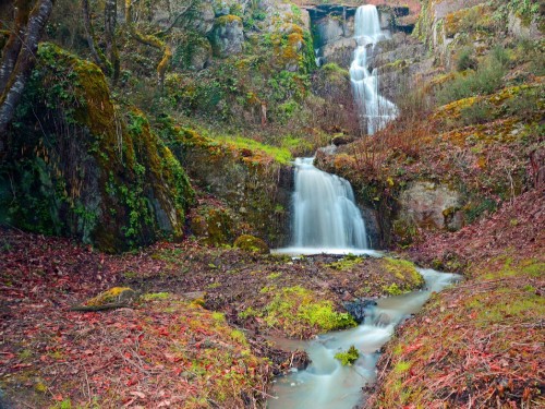 Image water falls in the middle of the forest