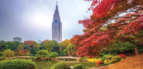 Image green and brown trees near high rise buildings during daytime