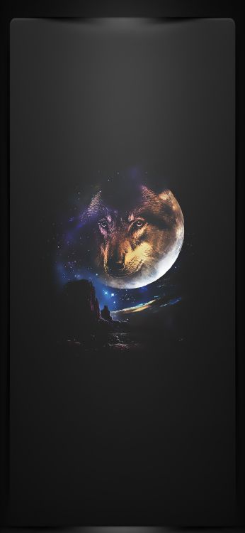 Obscurité, Terre, Arts Visuels, Liquid, Carnivores. Wallpaper in 1080x2340 Resolution