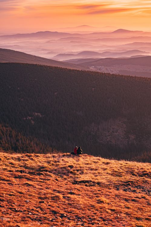 le Parc National De, Ciel, Horizon, M-arbre, Lever. Wallpaper in 3429x5153 Resolution
