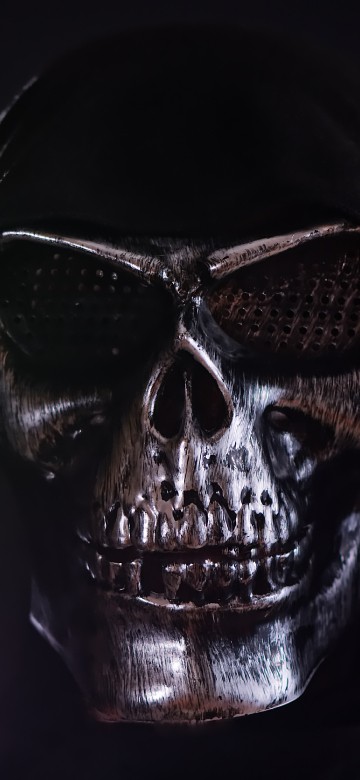 Image black and silver skull mask