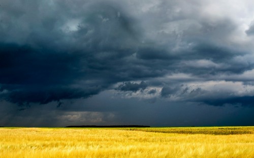 Image green grass field under gray clouds