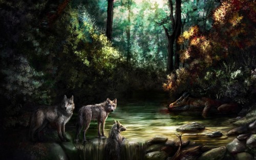 Image gray wolf on river during daytime