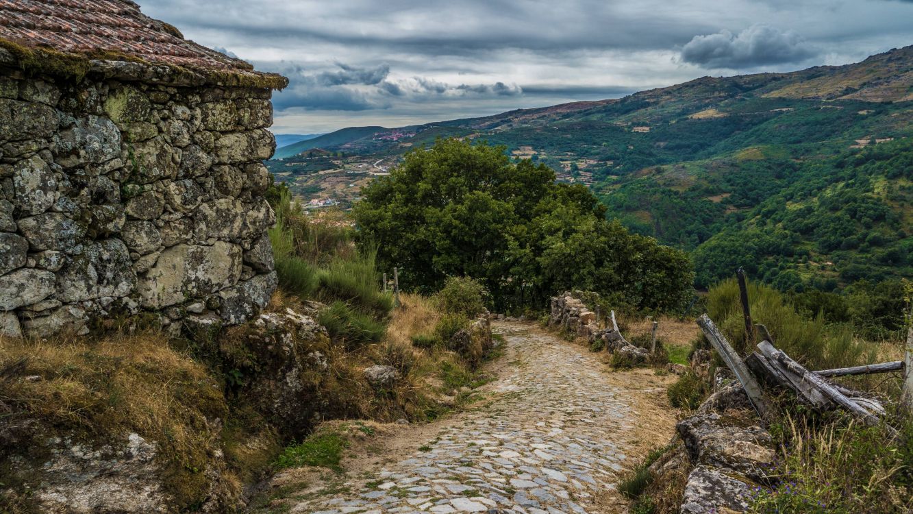 green trees on mountain under cloudy sky during daytime