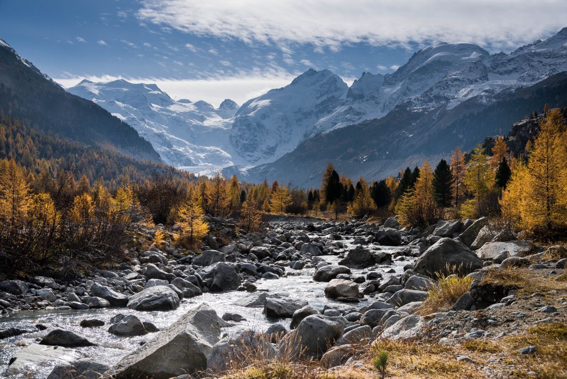 brown and green trees near mountain under white clouds and blue sky during daytime