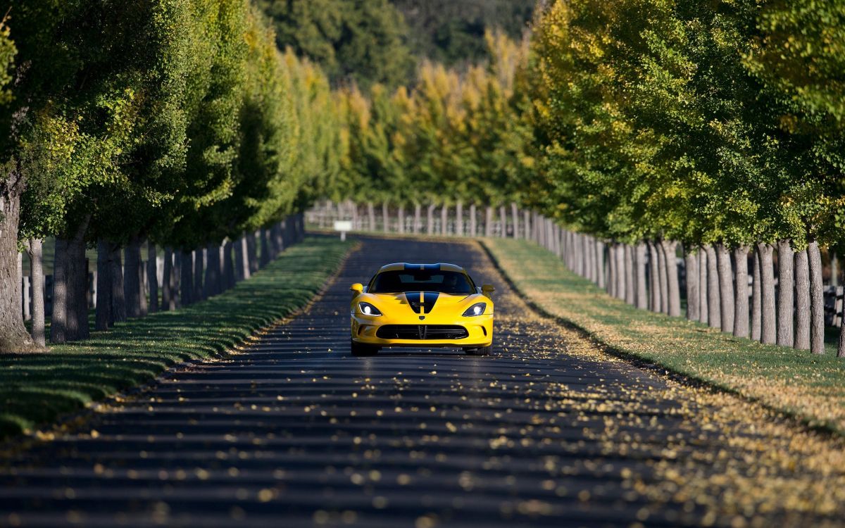 Ferrari f 1 Jaune et Noir Sur Route Pendant la Journée. Wallpaper in 2560x1600 Resolution