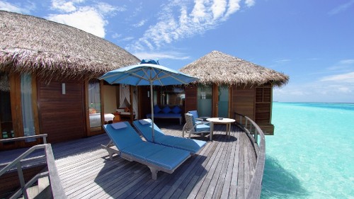 Image blue and white lounge chairs near brown wooden house