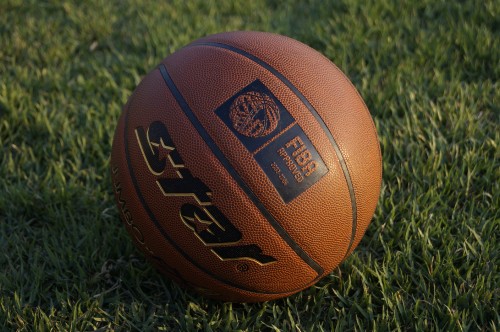 Image brown basketball on green grass