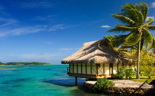 Image brown wooden house near green palm tree and body of water during daytime