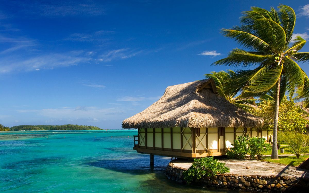 brown wooden house near green palm tree and body of water during daytime