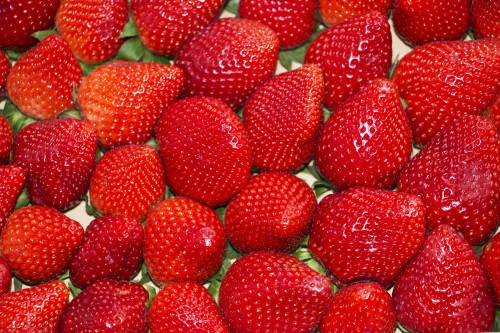 Image red strawberries on white ceramic plate